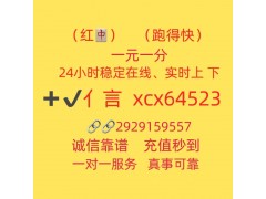 揭秘玩法在线分析正规1元1分2元1分红中麻将群