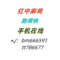 娱乐1.0广东红中麻将天天爆满